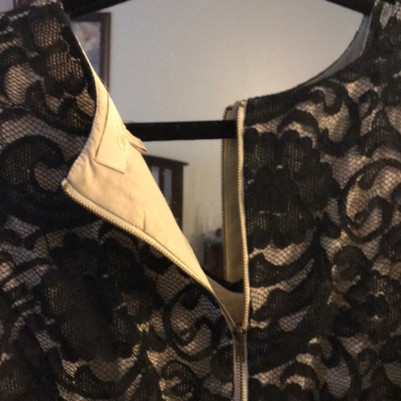 Lace Cocktail Dress - Picture 8 of 8